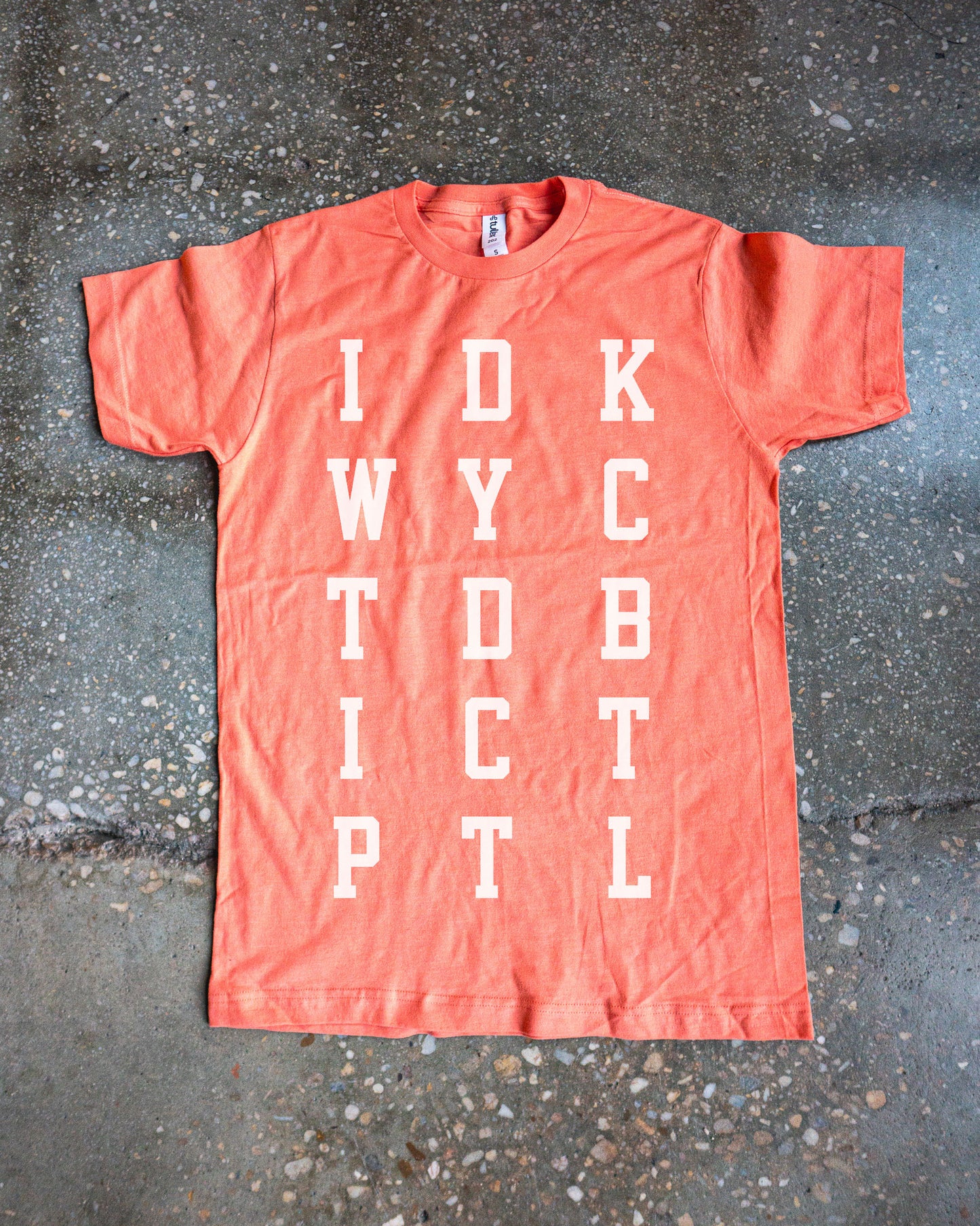 IDKWYCTDBICTPTL Adult Box T-Shirt