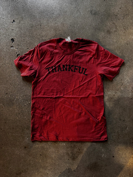 (CLEARANCE) Thankful Adult T Shirt